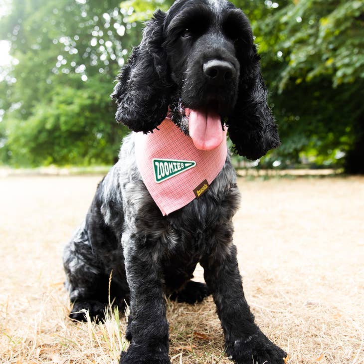 "Zoomies" Iron-on Patch for Dogs