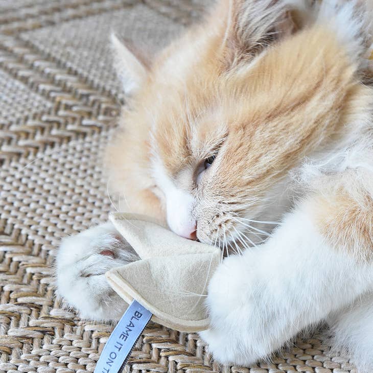 Kitty Fortune Cookie Toy- "Blame It On The Dog"