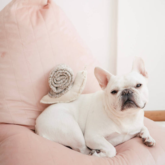 Snail Roll Up Enrichment Dog Toy
