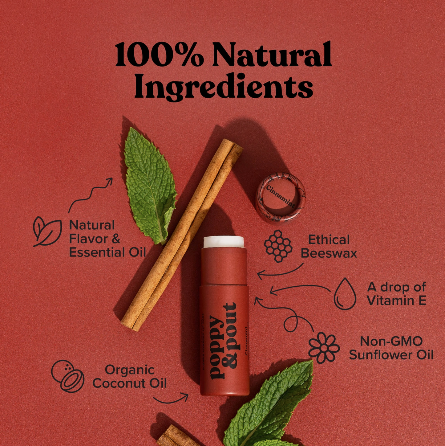 Poppy & Pout Hydrating Cinnamint Lip Balm