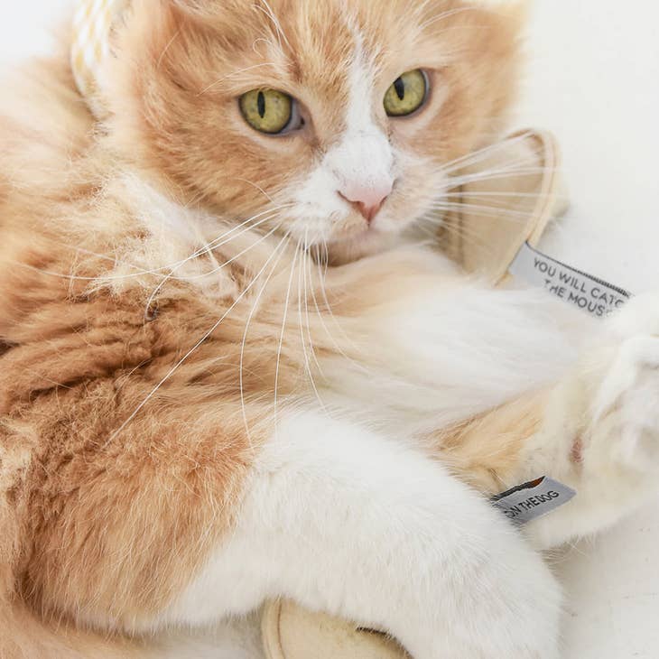 Kitty Fortune Cookie Toy- "You Will Catch The Mouse"