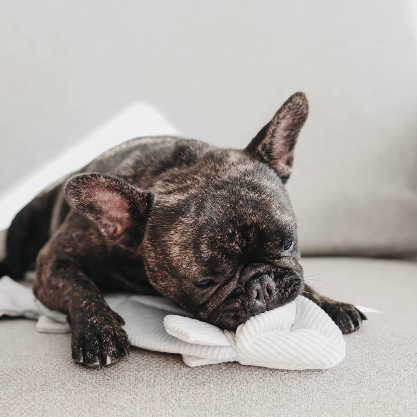 Trout Enrichment Dog Toy