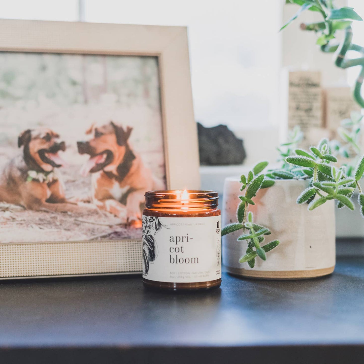 Apricot Bloom Soy Candle