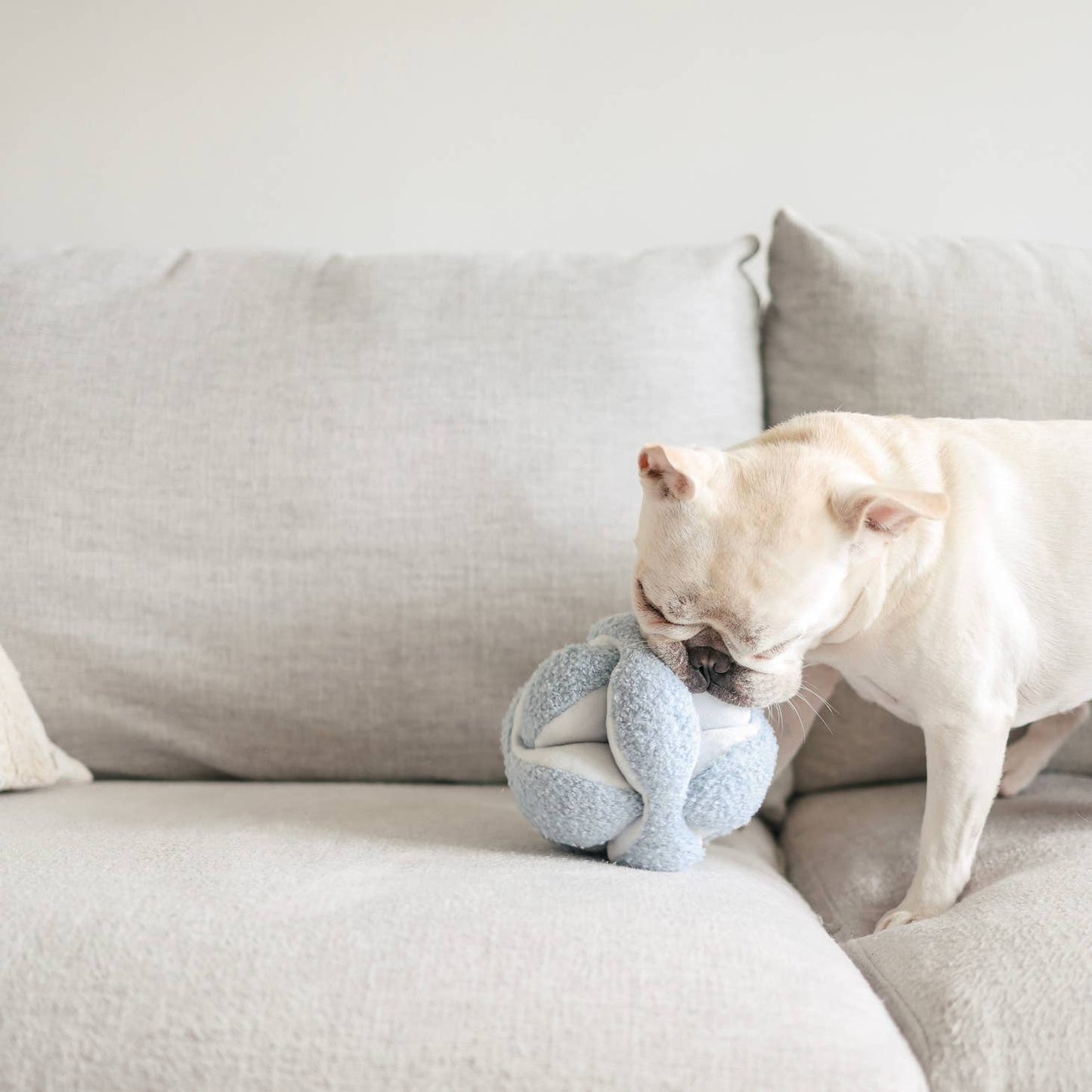 Monti Snuffle Ball Enrichment Dog Toy