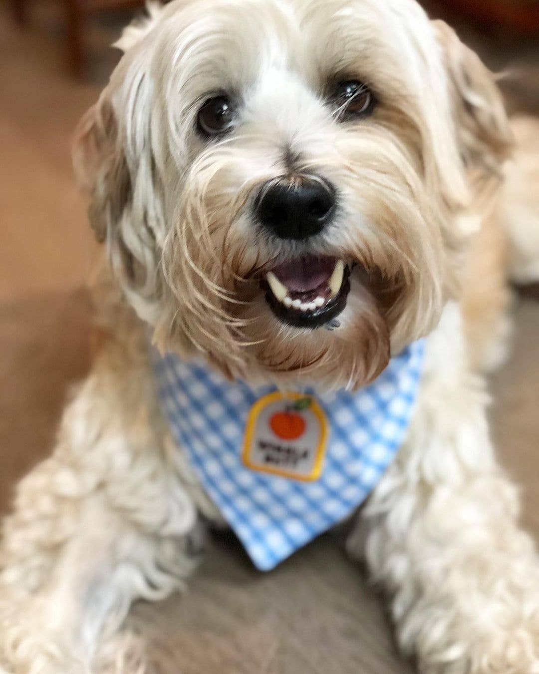 "Wiggle Butt" Iron-on Patch for Dogs