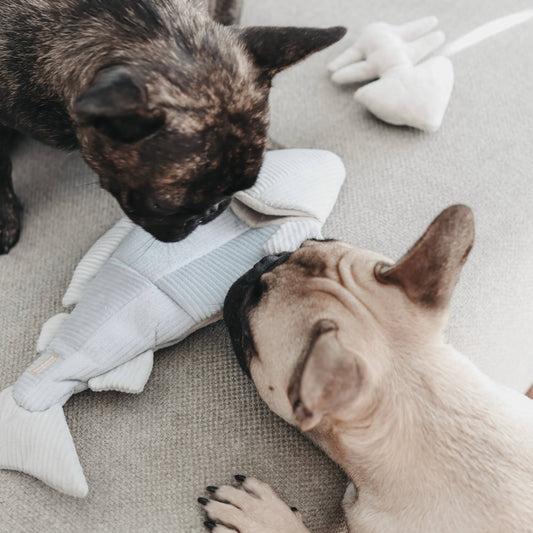 Trout Enrichment Dog Toy