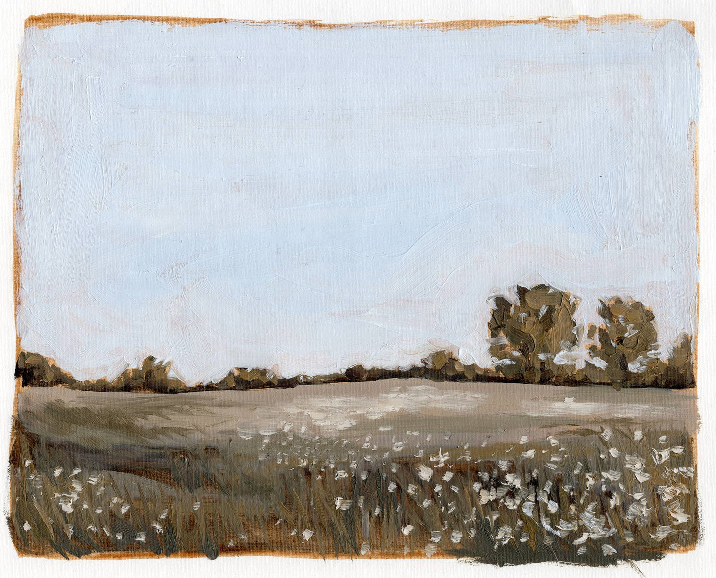 Downey Aster Field Print
