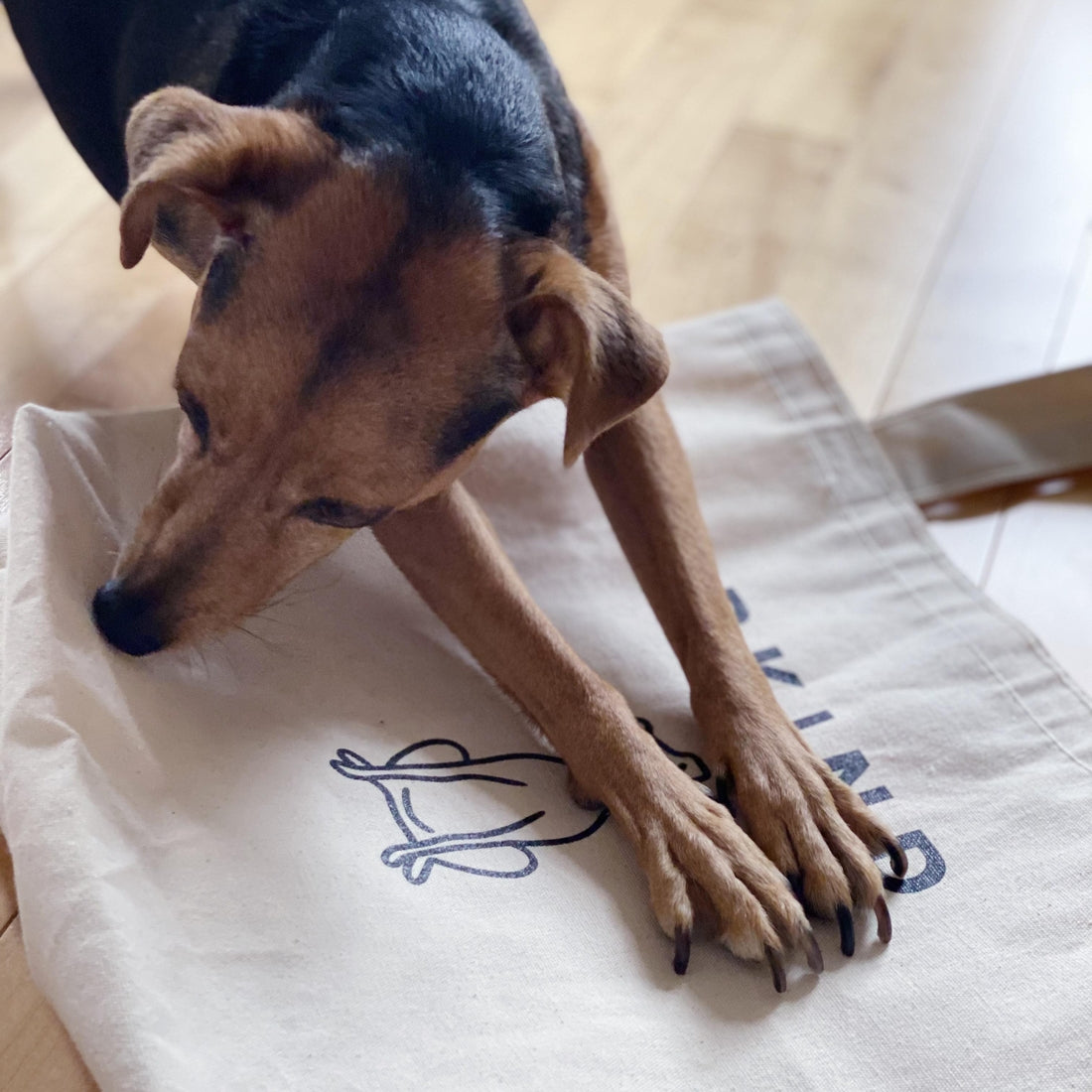BKIND Luna Dog Cotton Tote Bag