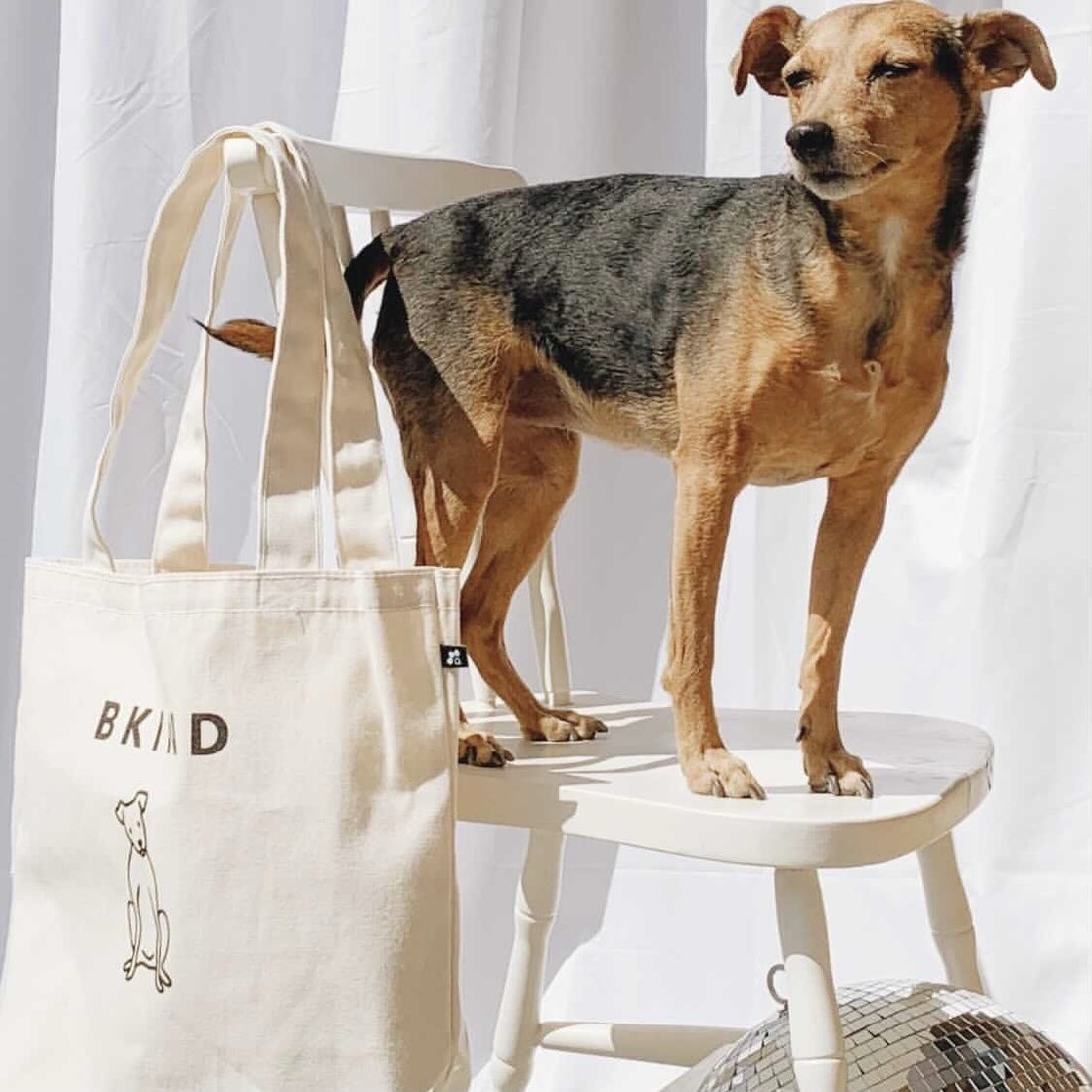 BKIND Luna Dog Cotton Tote Bag