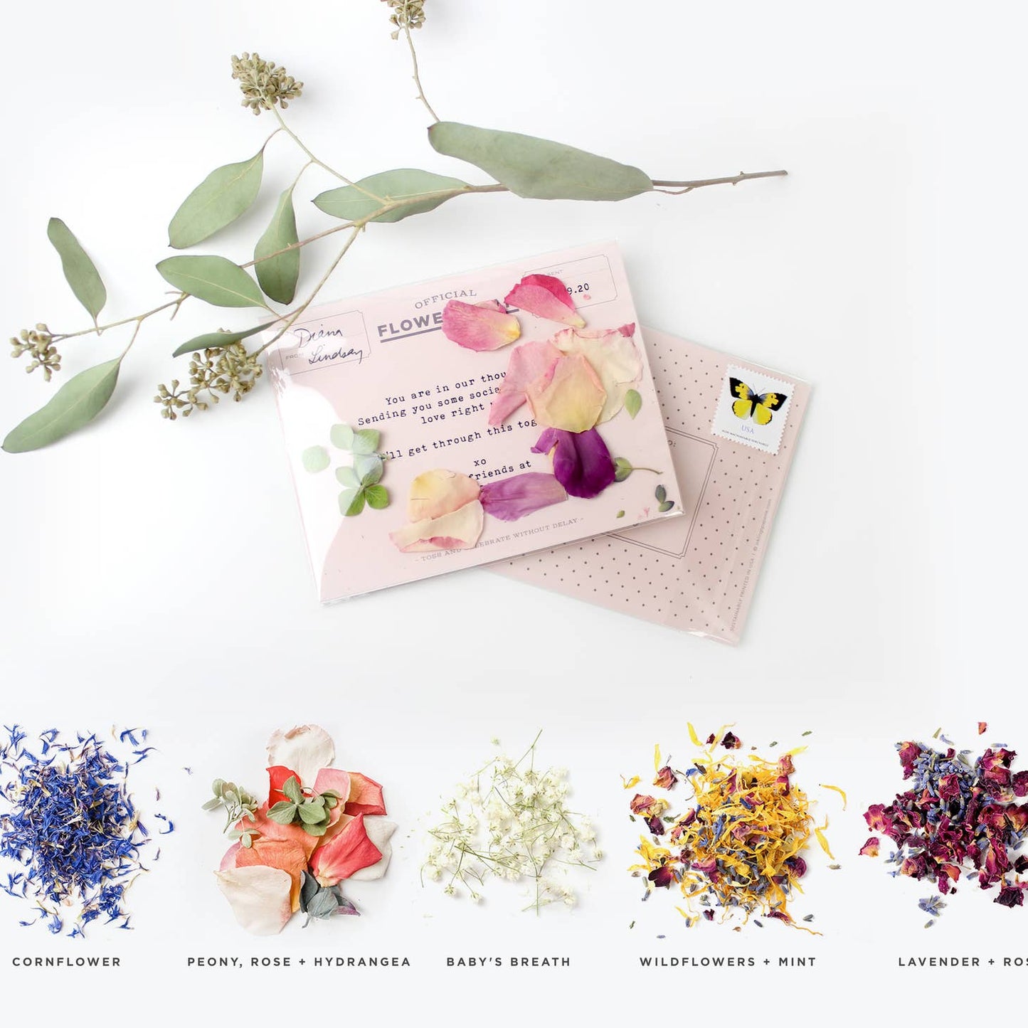 Flowergram - Wildflowers + Mint
