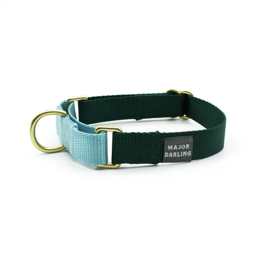 Forest with Ice Blue - Martingale Dog Collar
